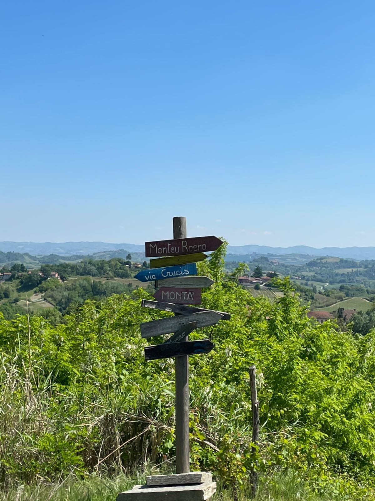 Ciabot tradizionale tra le vigne del Roero al tramonto