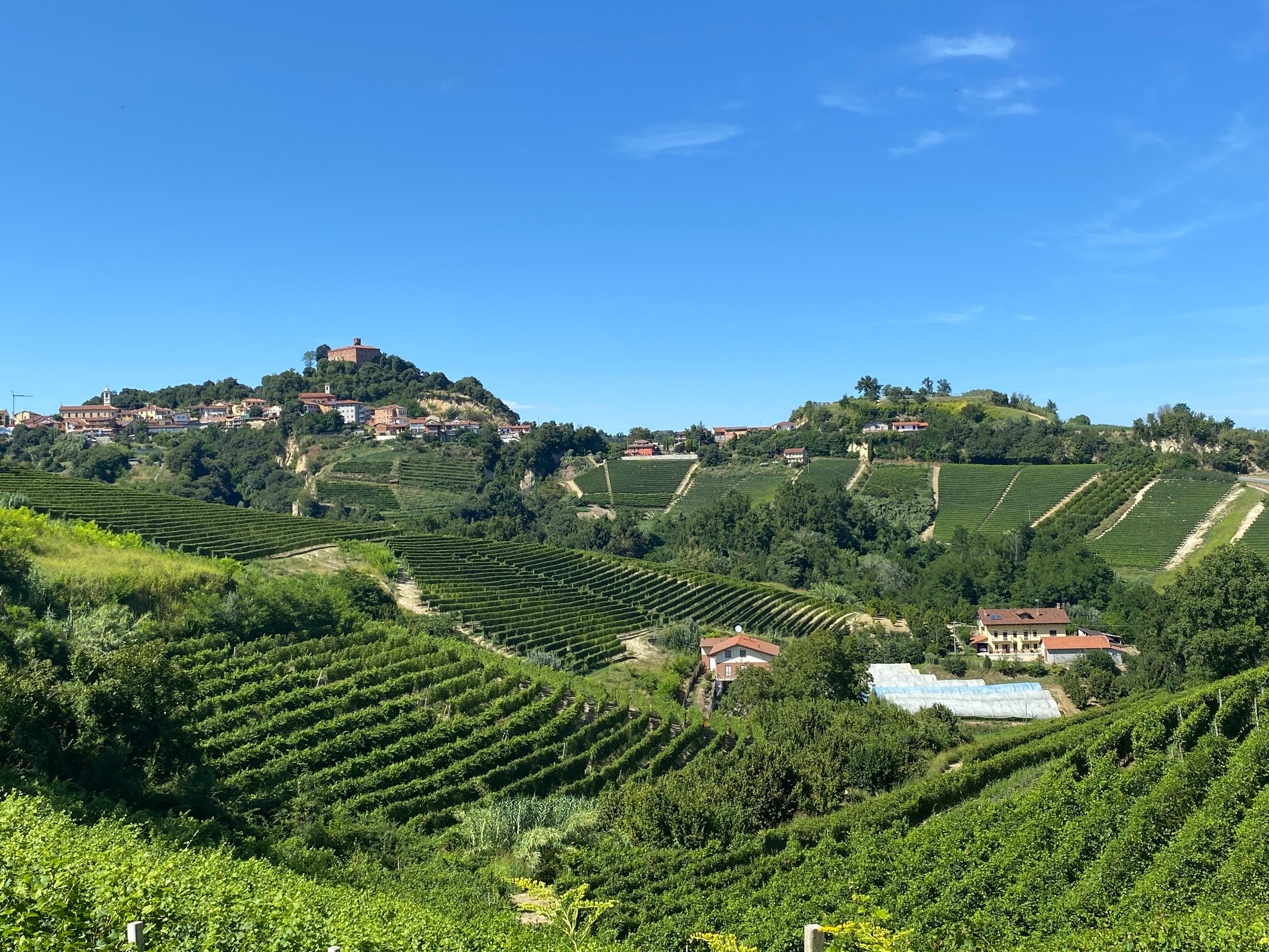 Panorama delle colline del Roero