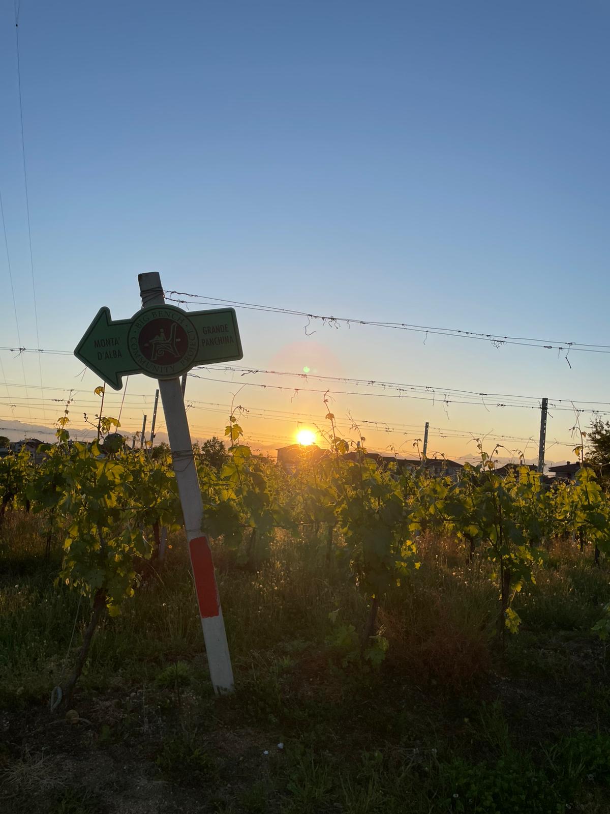 Tour al tramonto nel Roero